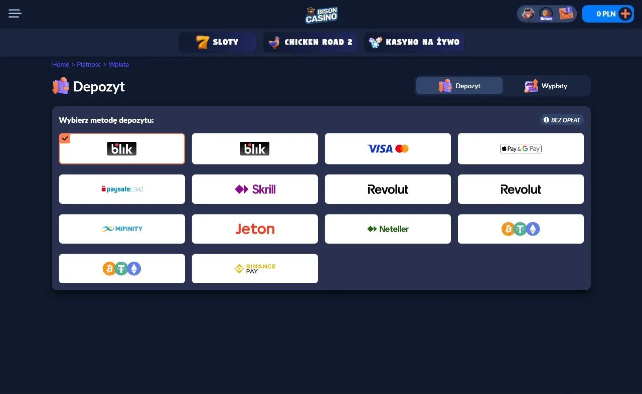 Metody płatności i wypłata środków w Bison Casino io 